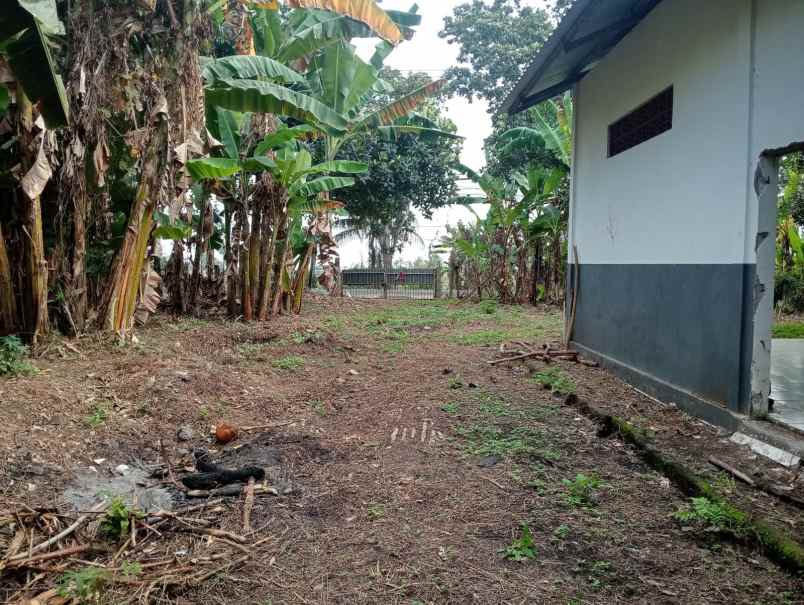 dijual lahan yang berada di zona perdagangan dan jasa