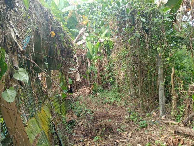 dijual lahan yang berada di zona perdagangan dan jasa
