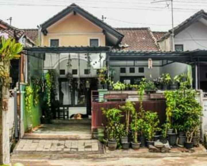 dijual rumah dijual rumah di pandak