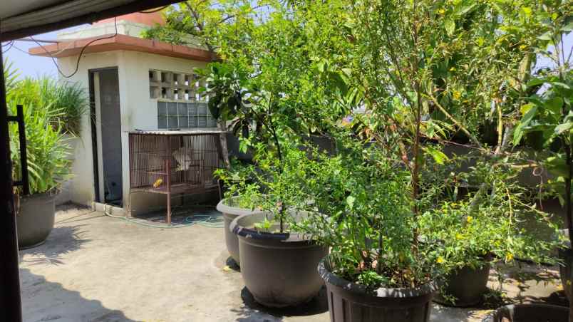 dijual rumah jatimakmur