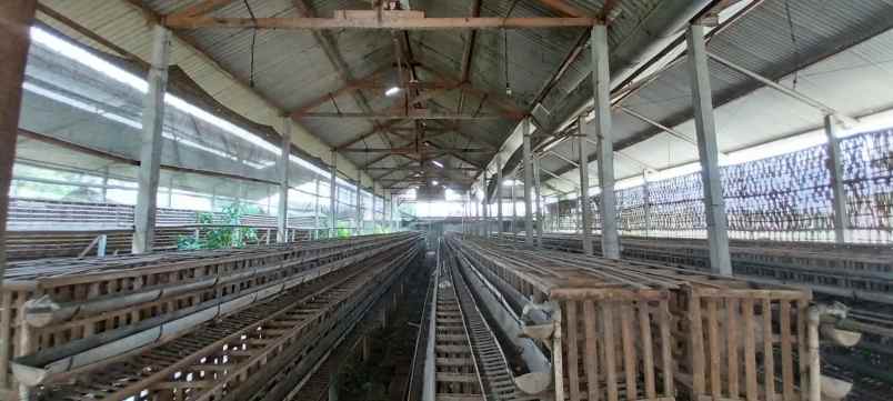 dijual rumah jl gabugan gemolong