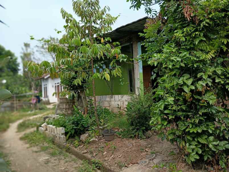 dijual rumah kp ranca palupuh