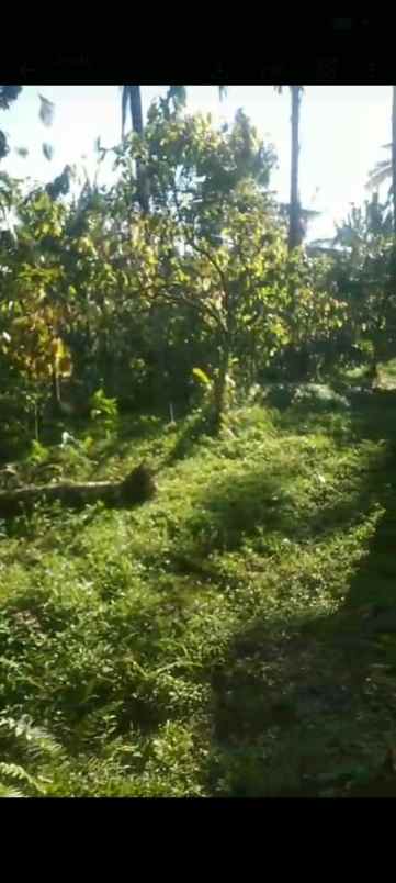 dijual tanah banjar dinas munduk desa