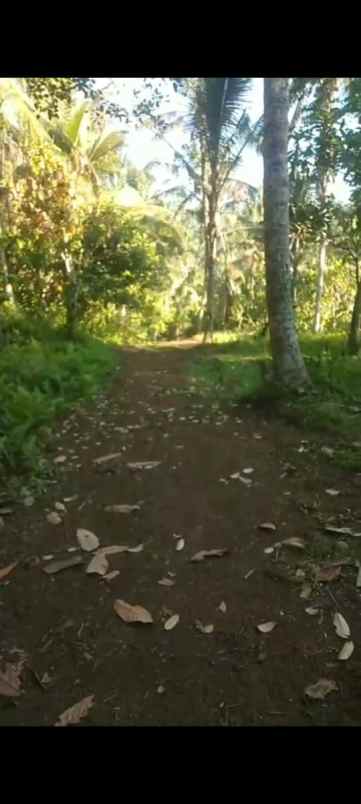 dijual tanah banjar dinas munduk desa