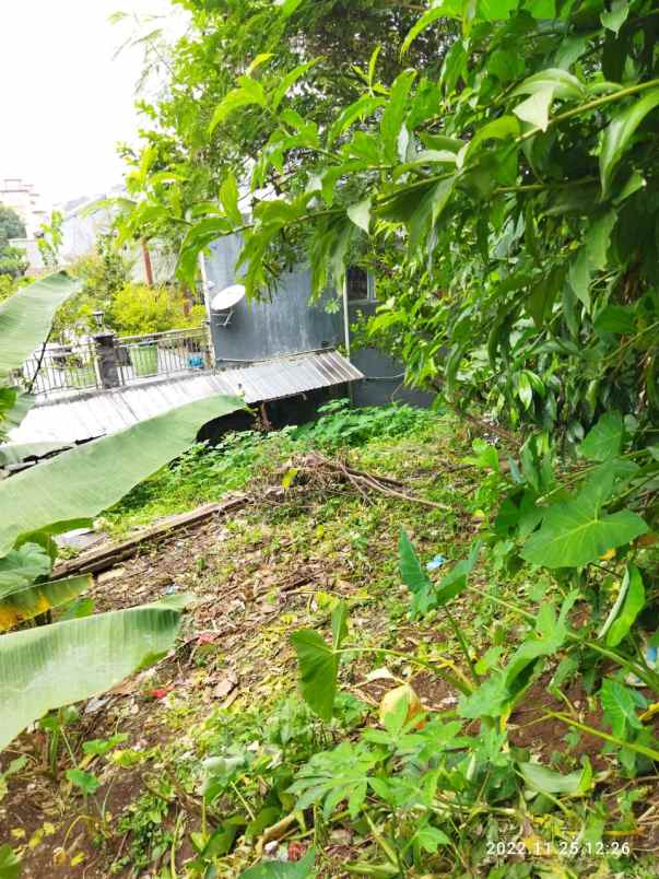 dijual tanah bekas kebun di perkotaan