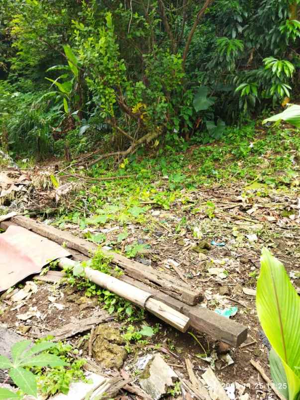 dijual tanah bekas kebun di perkotaan