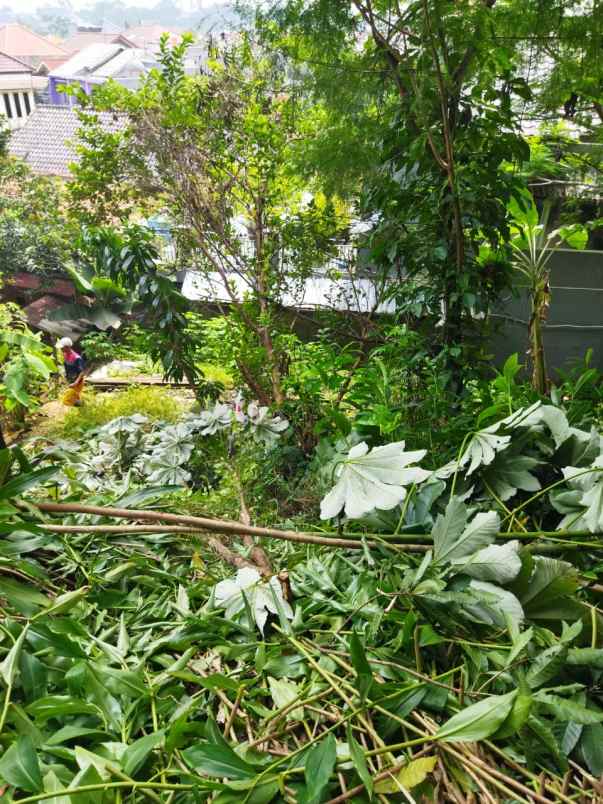 dijual tanah bekas kebun di perkotaan