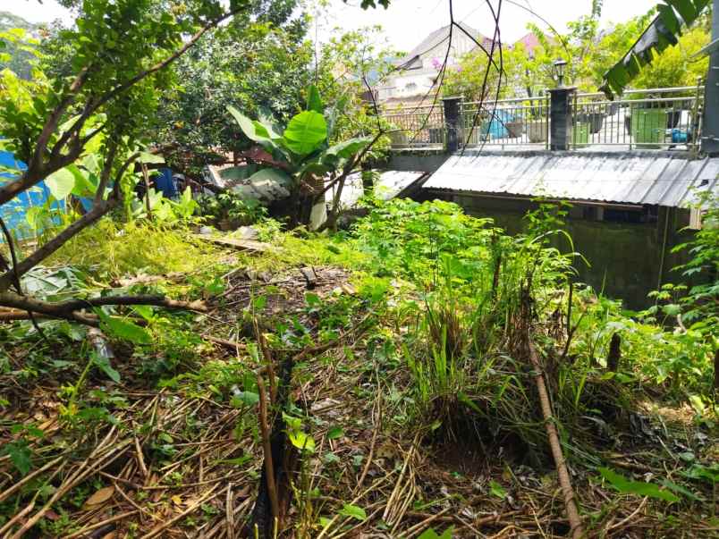 dijual tanah bekas kebun di perkotaan