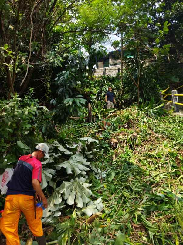 dijual tanah bekas kebun di perkotaan