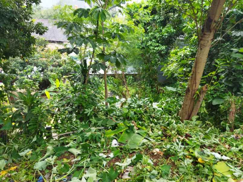 dijual tanah bekas kebun di perkotaan