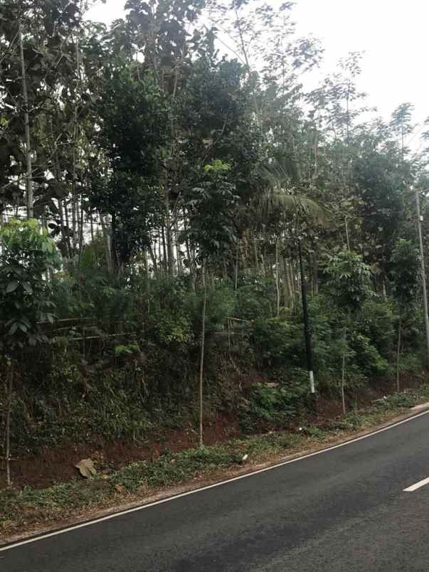 dijual tanah bendelan kec binakal kab