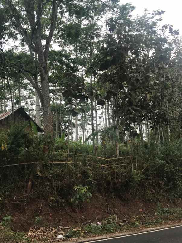 dijual tanah bendelan kec binakal kab