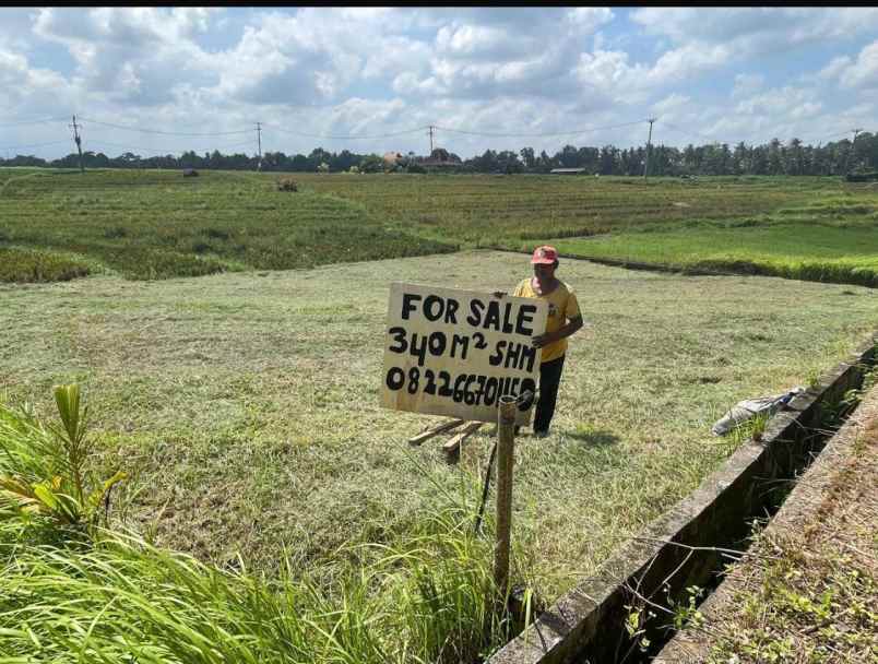 dijual tanah beraban selemadeg tabanan bali
