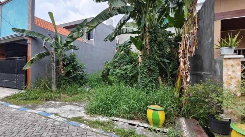 dijual tanah bogangin karangpilang