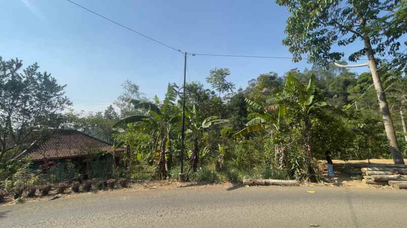 dijual tanah bojong