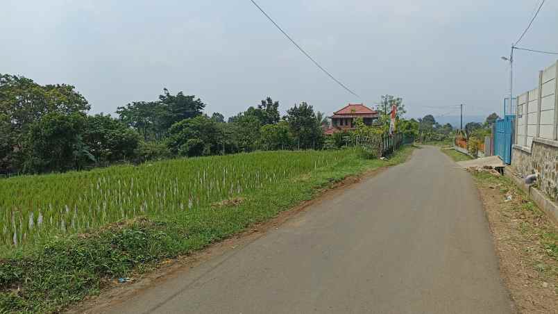 dijual tanah cipicung cijeruk kab bogor