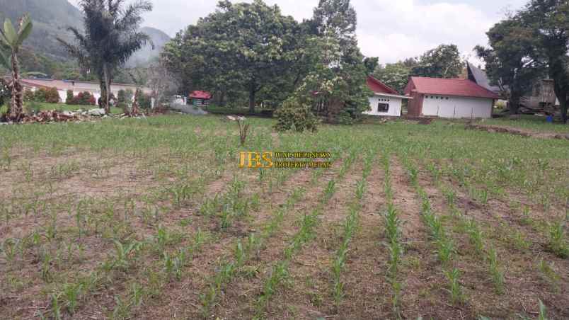 dijual tanah daerah samosir jalan pulau