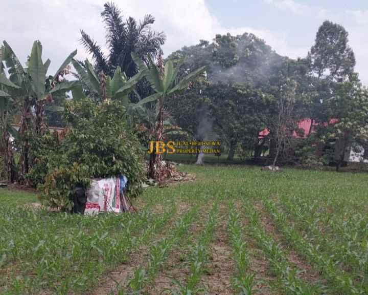 dijual tanah daerah samosir jalan pulau