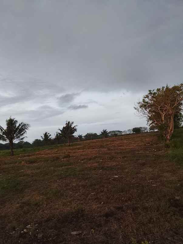 dijual tanah dekat pantai dan kampung