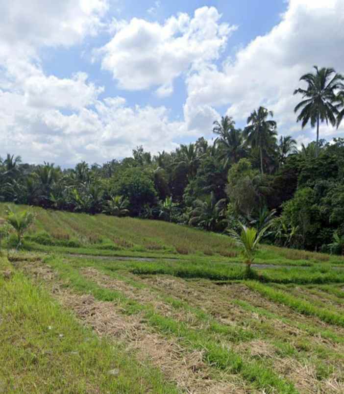 dijual tanah desa lumbung selemadeg
