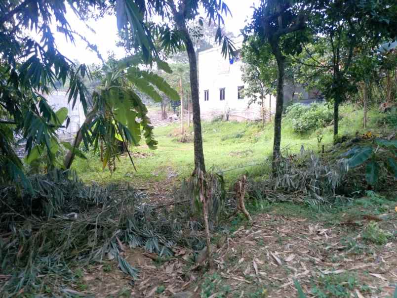 dijual tanah desa nagrak sukaraja