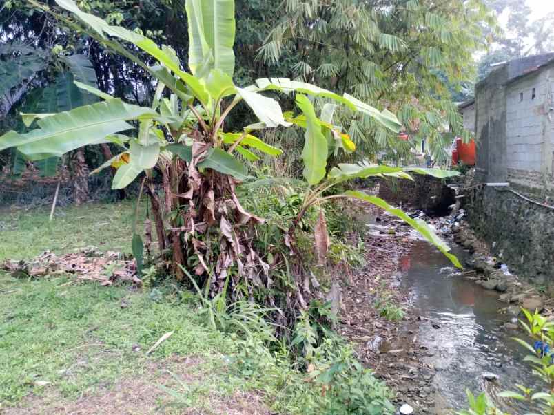 dijual tanah desa nagrak sukaraja