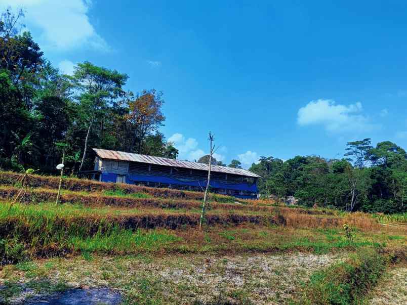 dijual tanah desa penanggungan trawas