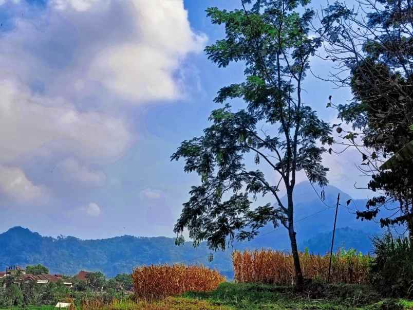 dijual tanah desa penanggungan trawas