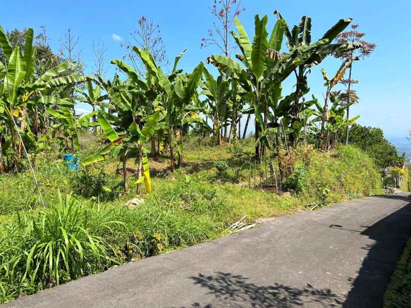 dijual tanah hook 1800m kemuning ngargoyoso