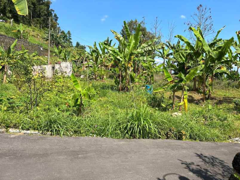 dijual tanah hook 1800m kemuning ngargoyoso