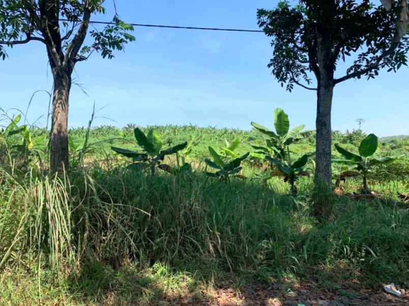 dijual tanah jalan cibinong hilir