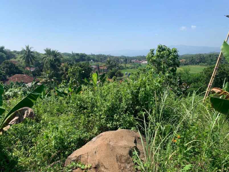 dijual tanah jalan cibinong hilir