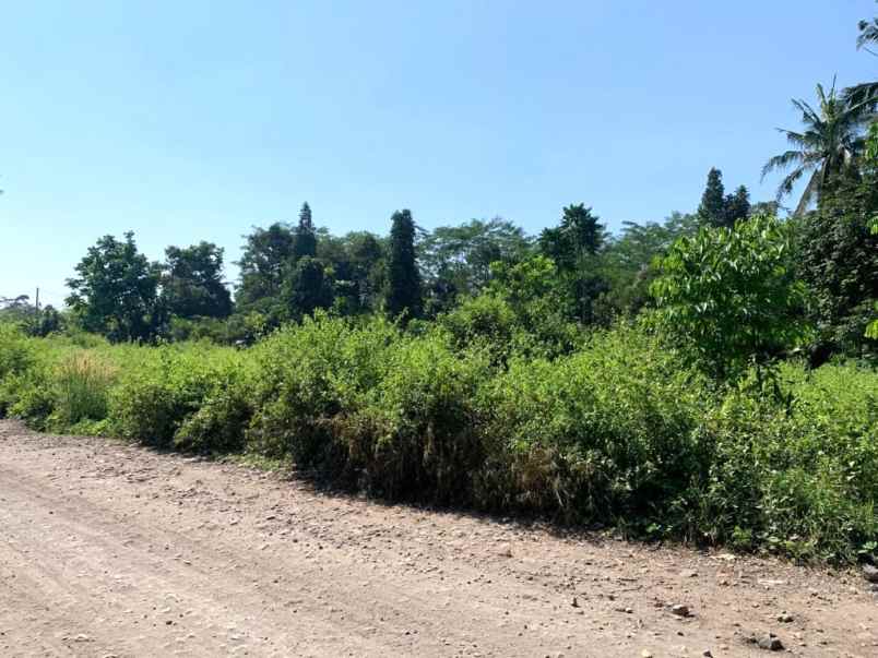 dijual tanah jalan cibinong hilir