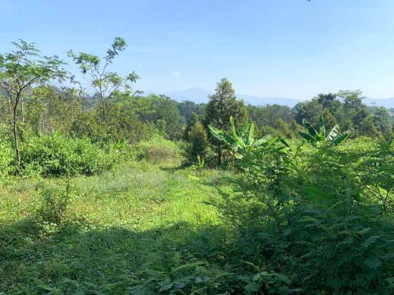 dijual tanah jalan cibinong hilir