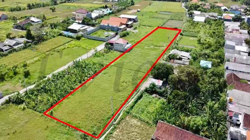 dijual tanah jalan pakisaji gg cengana sari