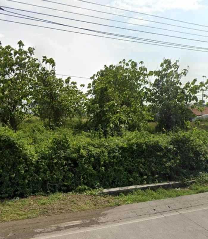 dijual tanah jalan pantura losarang