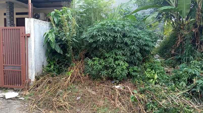 dijual tanah jl curug agung