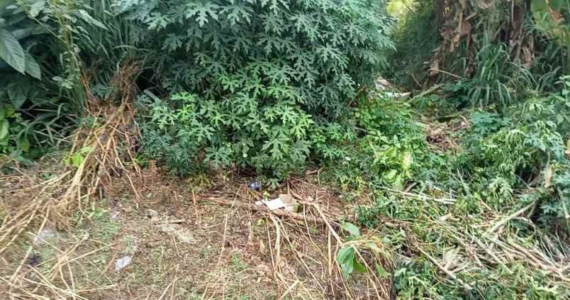 dijual tanah jl curug agung