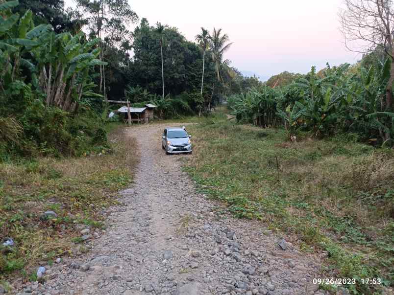 dijual tanah jl morotai teluk betung barat