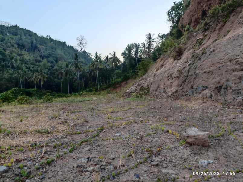 dijual tanah jl morotai teluk betung barat