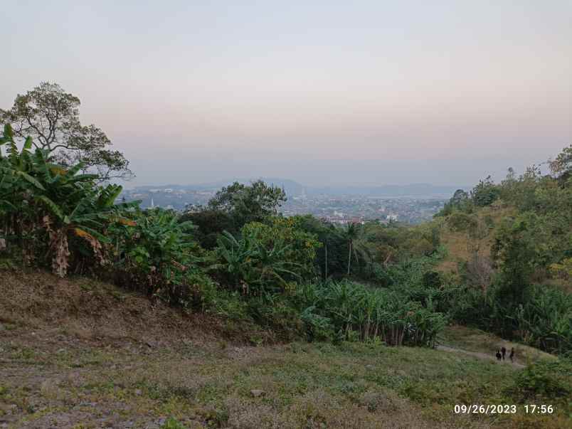 dijual tanah jl morotai teluk betung barat