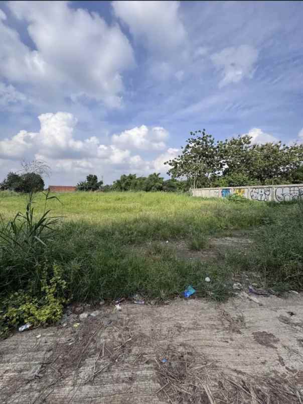 dijual tanah jl raya rawabuntu bsd rawa