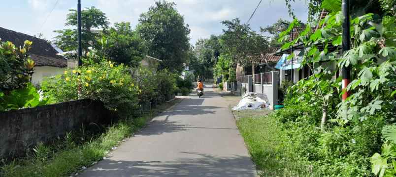 dijual tanah jl seyegan margosari