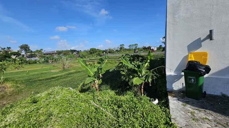 dijual tanah jln subak sari