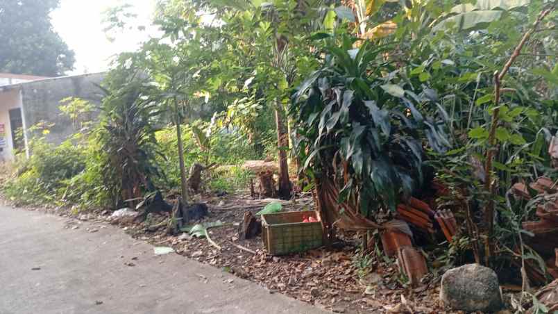 dijual tanah kalimulya cilodong depok