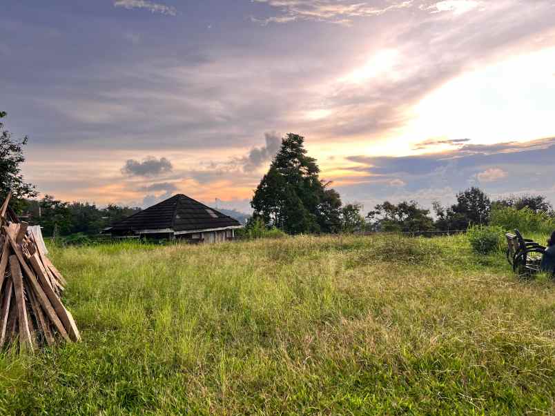 dijual tanah karangpandan