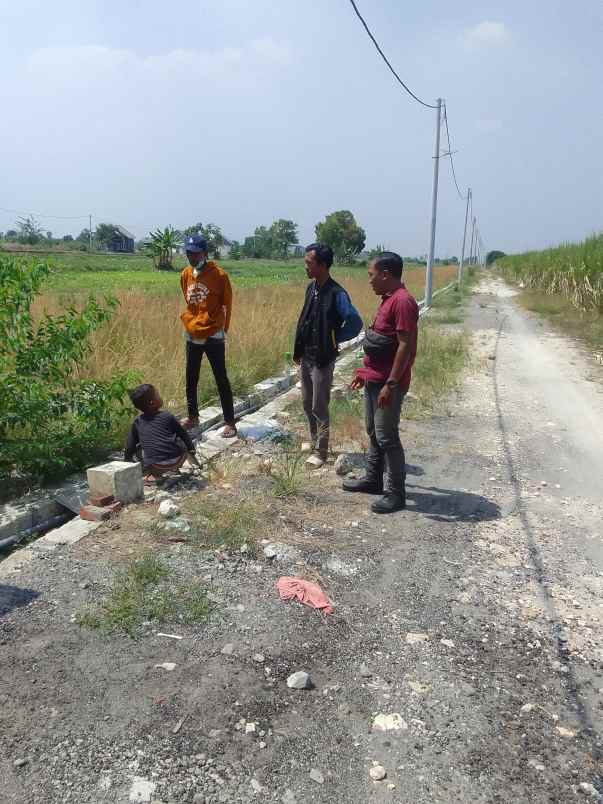 dijual tanah kavling murah di kedamean