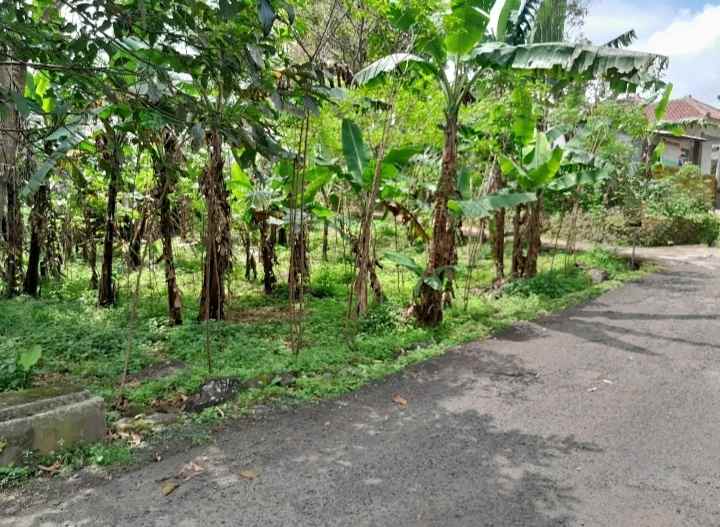 dijual tanah kebun akses jalan mobil