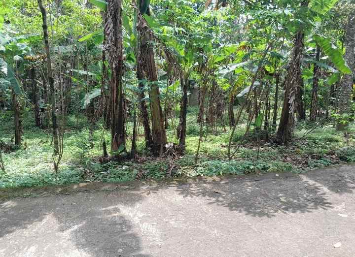 dijual tanah kebun akses jalan mobil