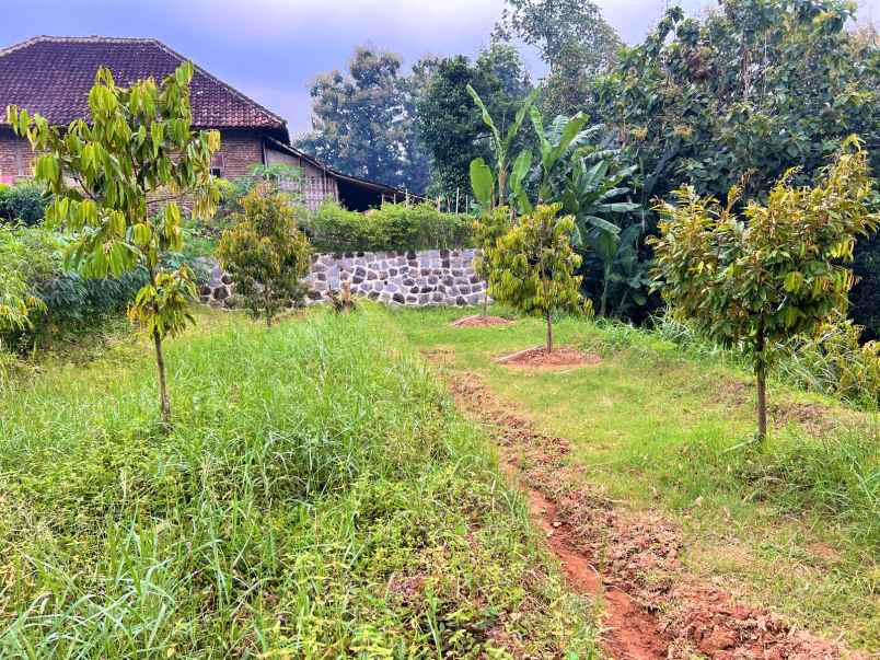 dijual tanah kebun buah karangpandan